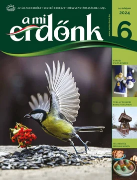 A Mi Erdőnk 2024/6. - 2024.12.09.