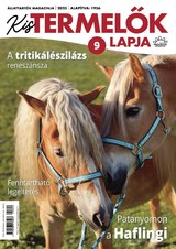 Kistermelők Lapja: 2025/9.