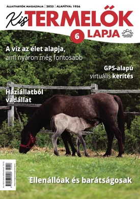 Kistermelők Lapja 2025/6. - 2025.06.11.