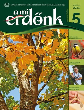 A Mi Erdőnk A Mi Erdőnk - 2024.10.09.