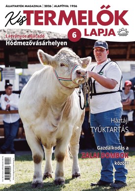 Kistermelők Lapja 2026/6. - 2026.06.11.