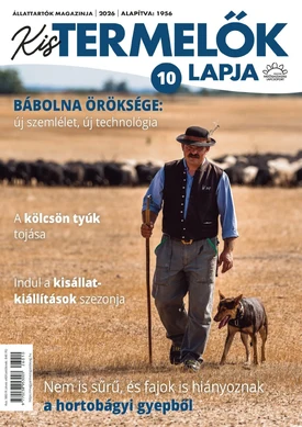 Kistermelők Lapja 2026/9. - 2026.10.07.