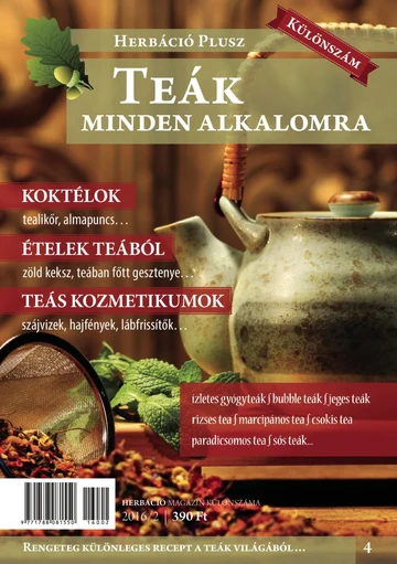 Különszám 04.