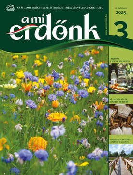 A Mi Erdőnk 2025/3. - 2025.06.19.