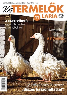 Kistermelők Lapja 2025/11. - 2025.11.11.