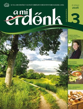A Mi Erdőnk 2026/3. - 2026.06.23.