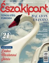 Északipart: 2018