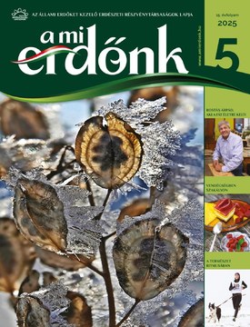 A Mi Erdőnk 2025/5. - 2025.11.28.