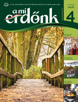 A Mi Erdőnk 2026/4. - 2026.10.19.