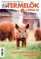 Kistermelők Lapja: 2026/1.