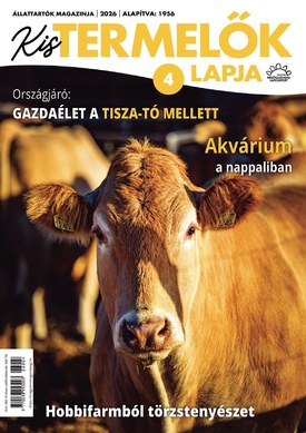 Kistermelők Lapja 2026/4. - 2026.04.08.